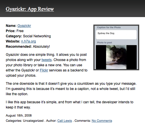 Gyazickr App Review